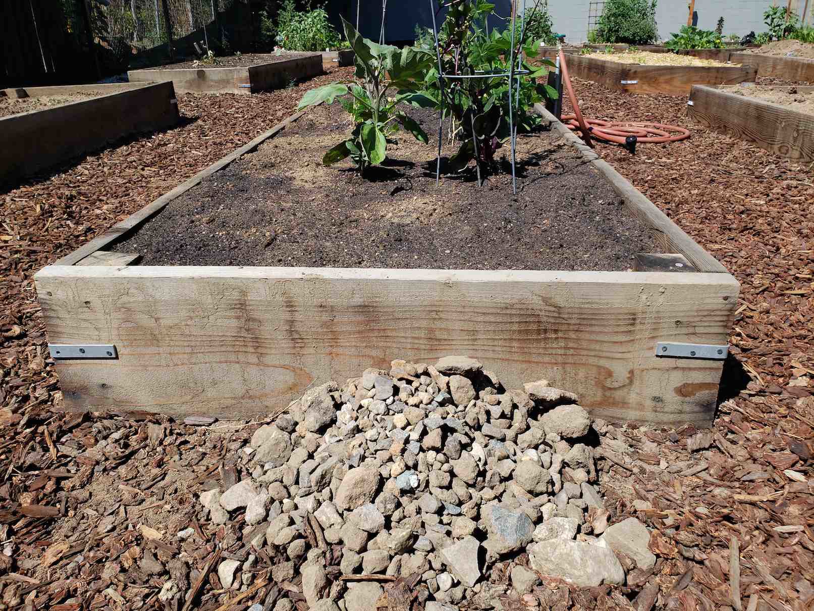 Plot and rocks from East Hollywood Community Garden